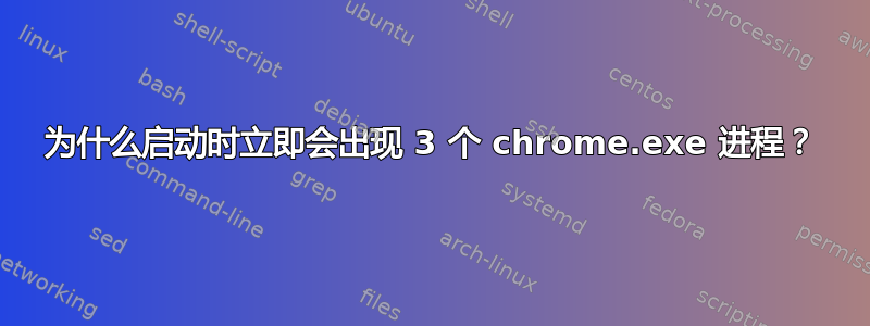 为什么启动时立即会出现 3 个 chrome.exe 进程？