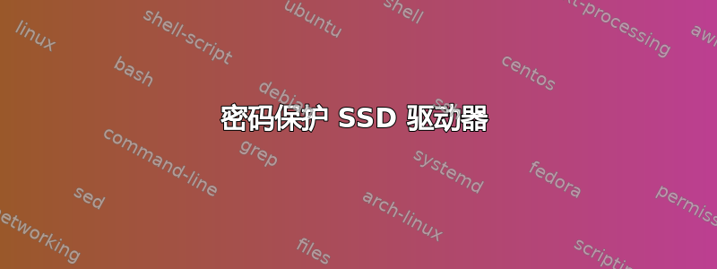 密码保护 SSD 驱动器