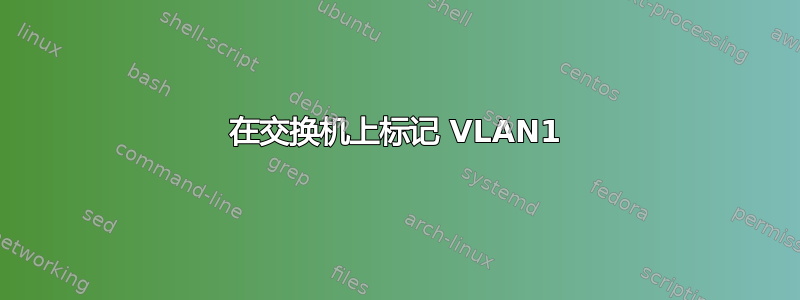 在交换机上标记 VLAN1