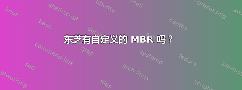 东芝有自定义的 MBR 吗？