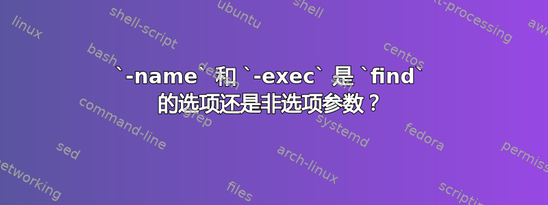 `-name` 和 `-exec` 是 `find` 的选项还是非选项参数？