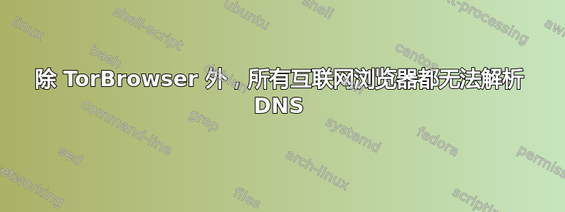 除 TorBrowser 外，所有互联网浏览器都无法解析 DNS