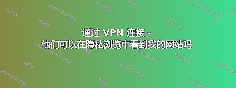 通过 VPN 连接 - 他们可以在隐私浏览中看到我的网站吗