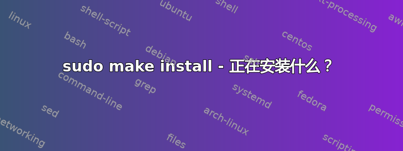 sudo make install - 正在安装什么？