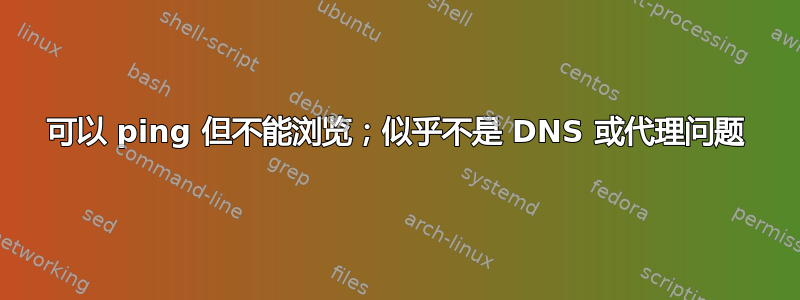 可以 ping 但不能浏览；似乎不是 DNS 或代理问题