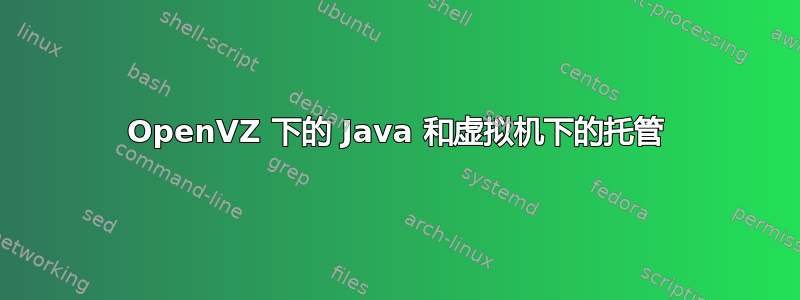 OpenVZ 下的 Java 和虚拟机下的托管