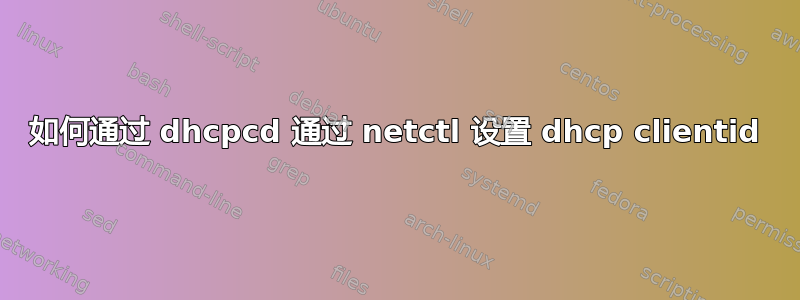 如何通过 dhcpcd 通过 netctl 设置 dhcp clientid