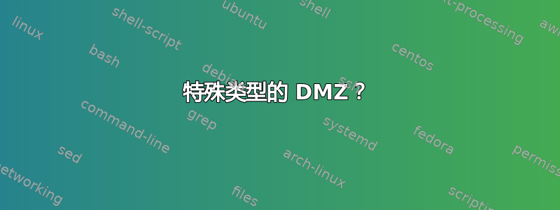 特殊类型的 DMZ？