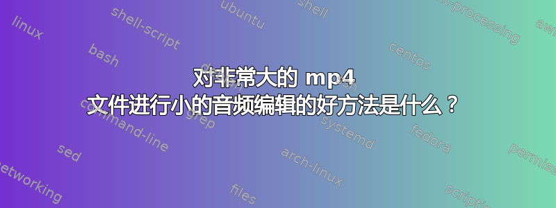 对非常大的 mp4 文件进行小的音频编辑的好方法是什么？