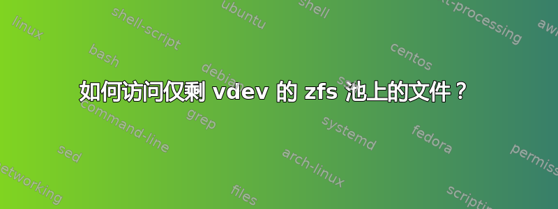 如何访问仅剩 vdev 的 zfs 池上的文件？