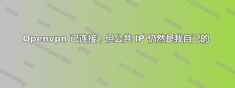 Openvpn 已连接，但公共 IP 仍然是我自己的