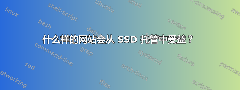 什么样的网站会从 SSD 托管中受益？