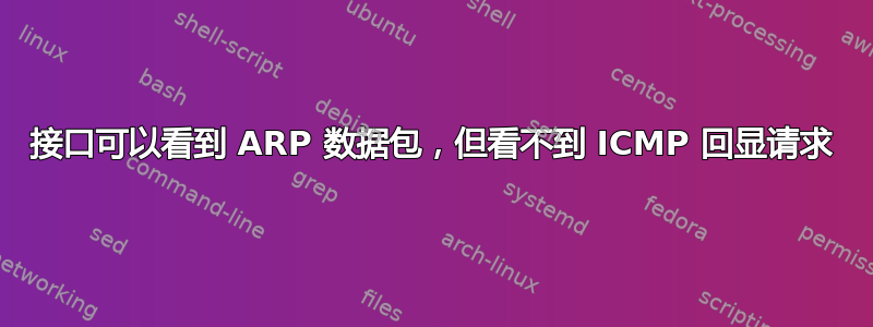 接口可以看到 ARP 数据包，但看不到 ICMP 回显请求