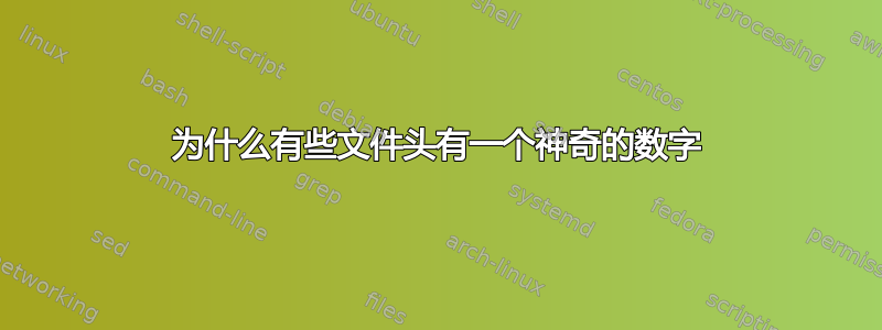 为什么有些文件头有一个神奇的数字