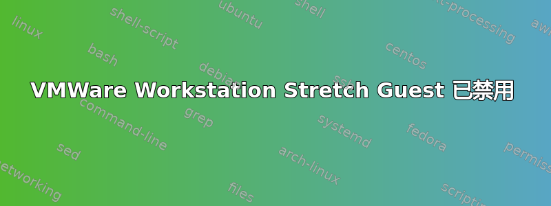 VMWare Workstation Stretch Guest 已禁用