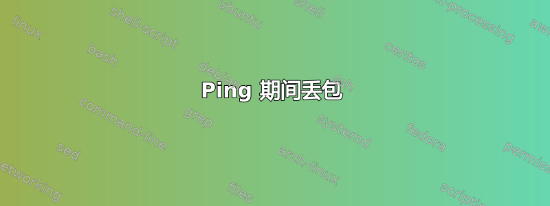 Ping 期间丢包