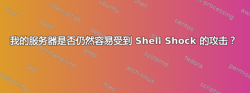 我的服务器是否仍然容易受到 Shell Shock 的攻击？