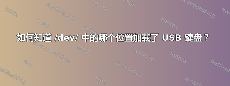 如何知道 /dev/ 中的哪个位置加载了 USB 键盘？