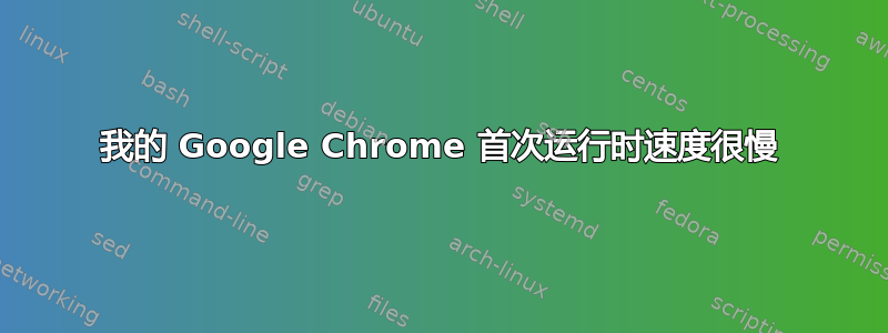 我的 Google Chrome 首次运行时速度很慢