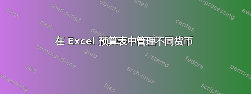 在 Excel 预算表中管理不同货币