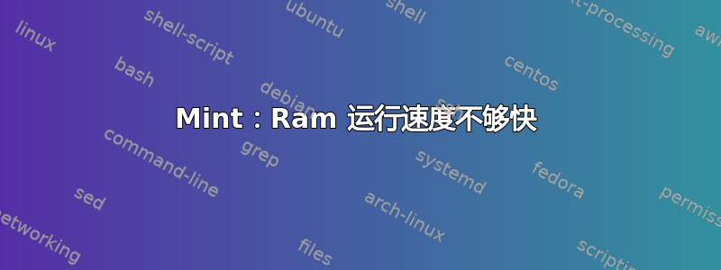 Mint：Ram 运行速度不够快