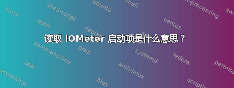 读取 IOMeter 启动项是什么意思？