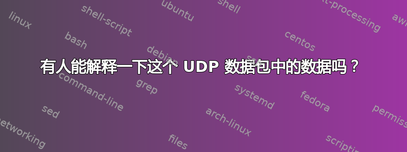 有人能解释一下这个 UDP 数据包中的数据吗？