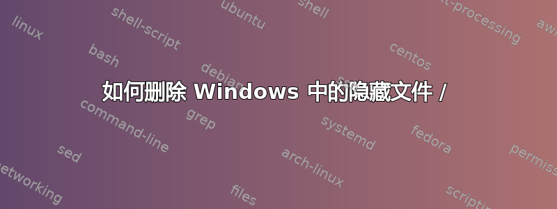 如何删除 Windows 中的隐藏文件 /