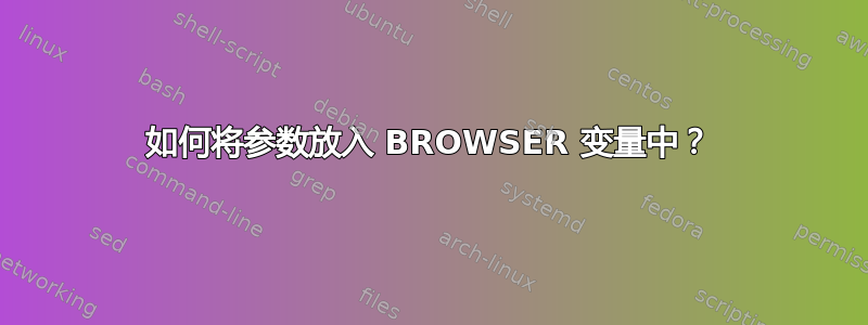 如何将参数放入 BROWSER 变量中？