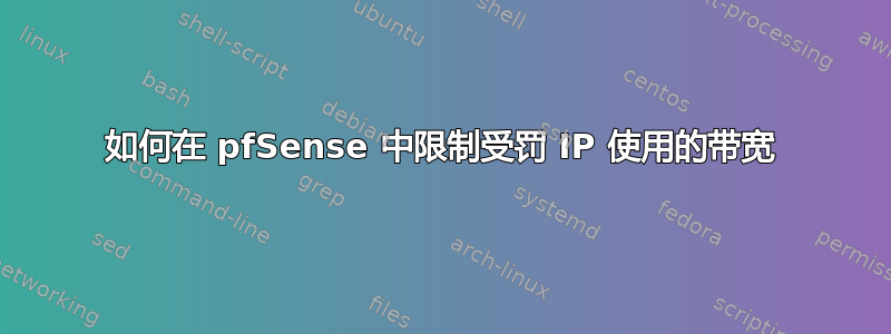 如何在 pfSense 中限制受罚 IP 使用的带宽