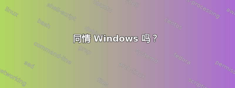 同情 Windows 吗？