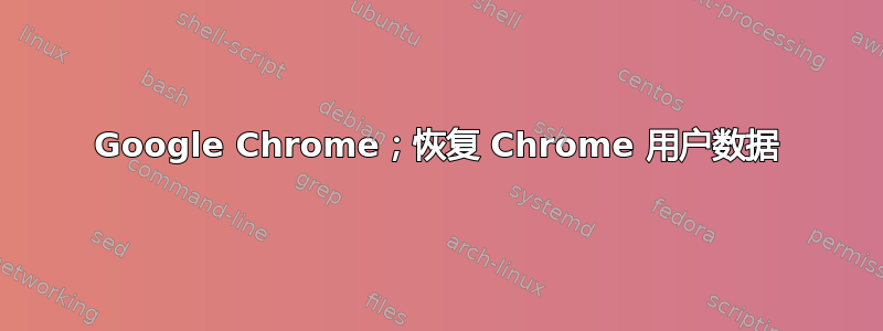 Google Chrome；恢复 Chrome 用户数据