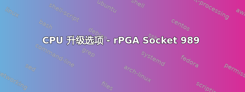 CPU 升级选项 - rPGA Socket 989