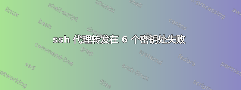 ssh 代理转发在 6 个密钥处失败