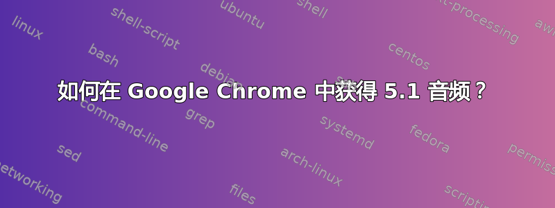 如何在 Google Chrome 中获得 5.1 音频？