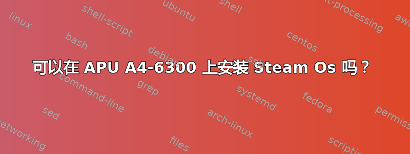 可以在 APU A4-6300 上安装 Steam Os 吗？