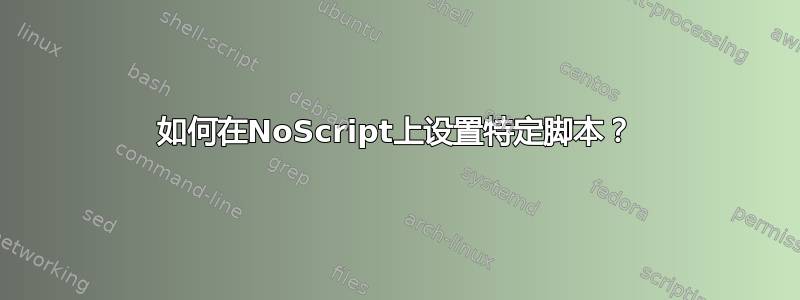 如何在NoScript上设置特定脚本？