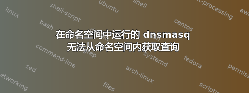 在命名空间中运行的 dnsmasq 无法从命名空间内获取查询