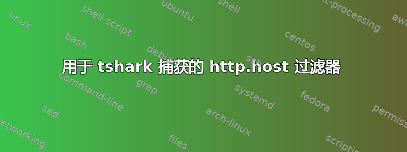 用于 tshark 捕获的 http.host 过滤器