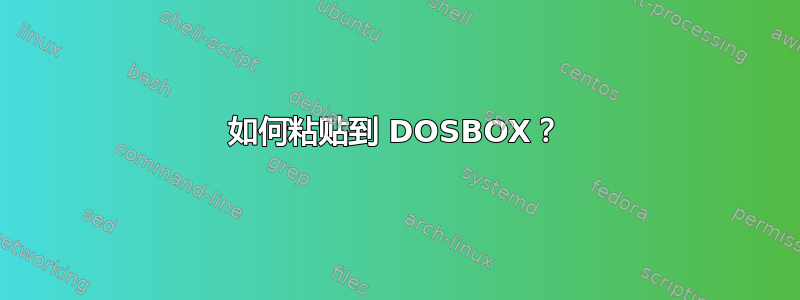 如何粘贴到 DOSBOX？