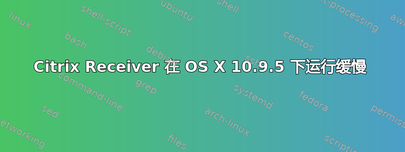 Citrix Receiver 在 OS X 10.9.5 下运行缓慢