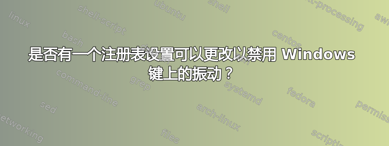 是否有一个注册表设置可以更改以禁用 Windows 键上的振动？