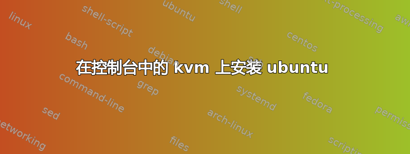 在控制台中的 kvm 上安装 ubuntu