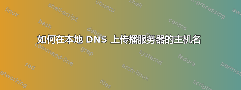 如何在本地 DNS 上传播服务器的主机名