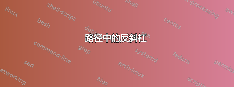 路径中的反斜杠