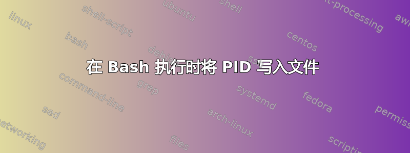 在 Bash 执行时将 PID 写入文件