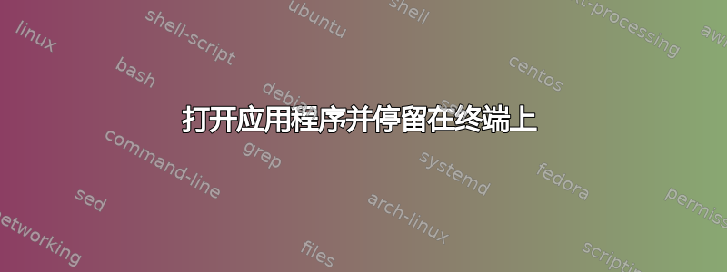 打开应用程序并停留在终端上