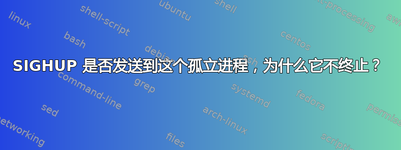 SIGHUP 是否发送到这个孤立进程，为什么它不终止？