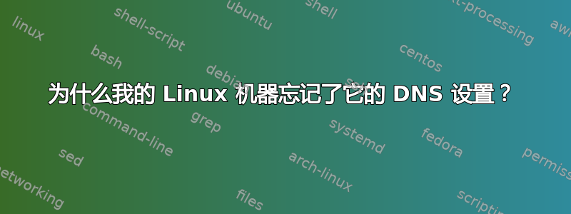 为什么我的 Linux 机器忘记了它的 DNS 设置？