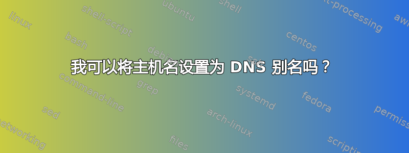 我可以将主机名设置为 DNS 别名吗？